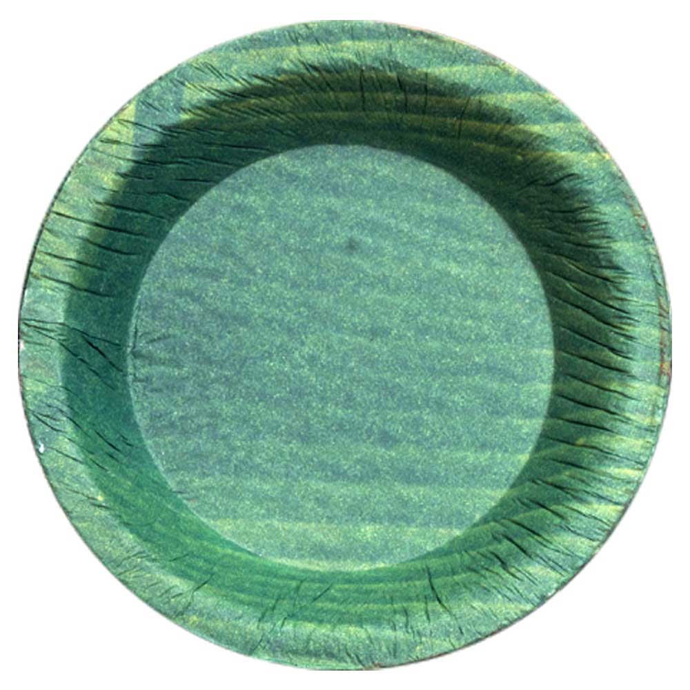Leaf Paper Plate (Set of 10 Pieces)